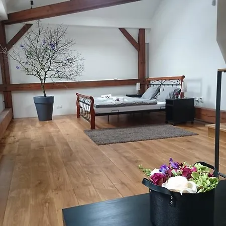 Apartament Manes Riverfront